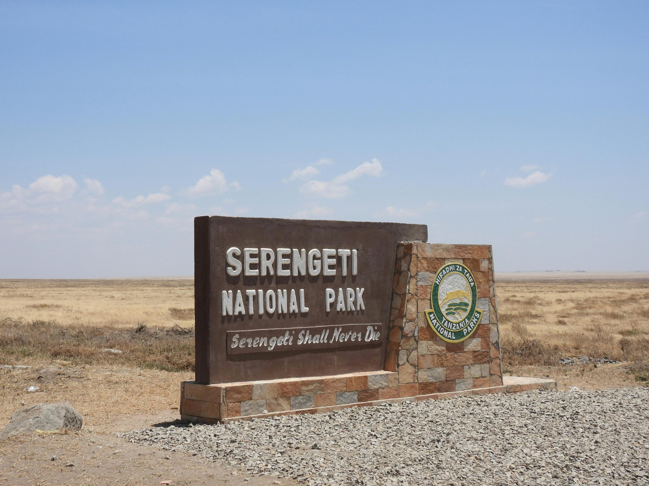 Serengeti National Park – The Land of Endless Plains