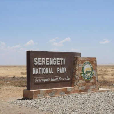 Serengeti National Park – The Land of Endless Plains